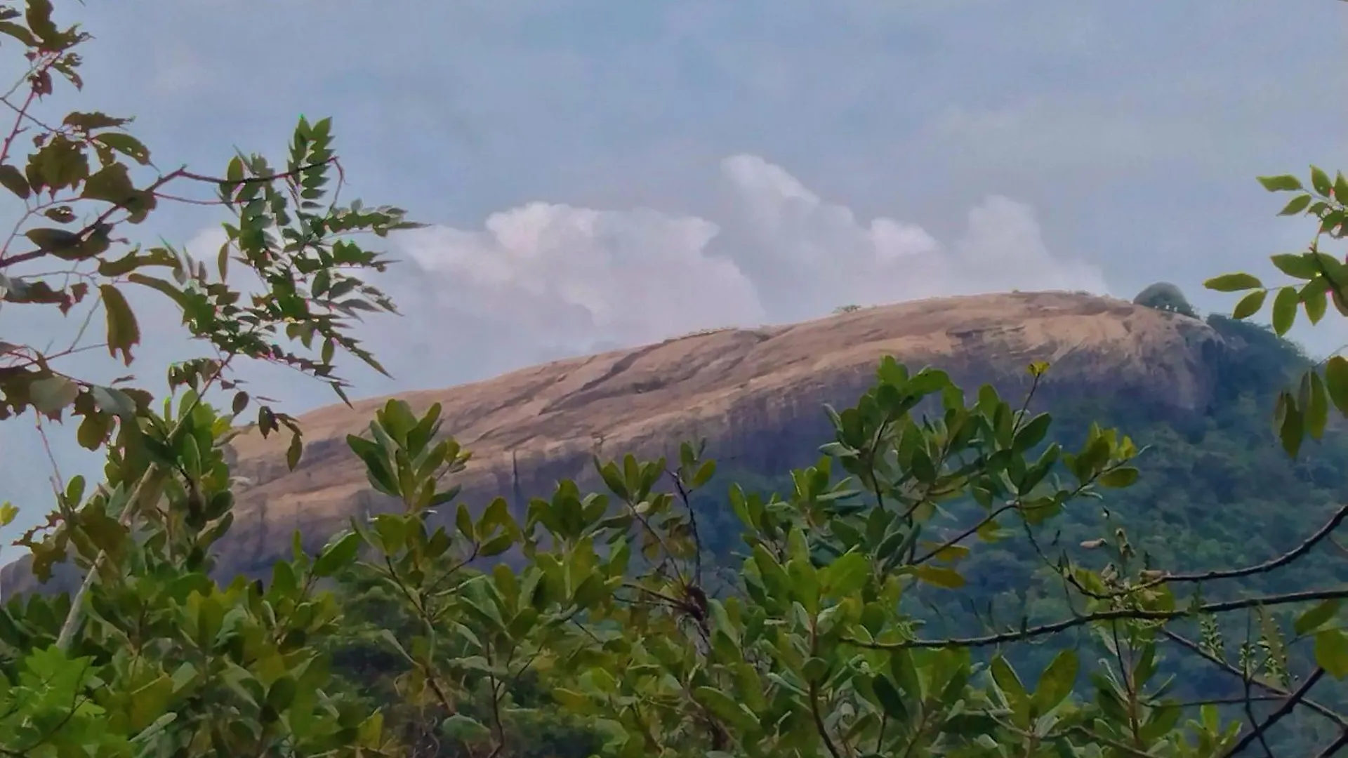 Homestay Kalum Home Sigiriya
