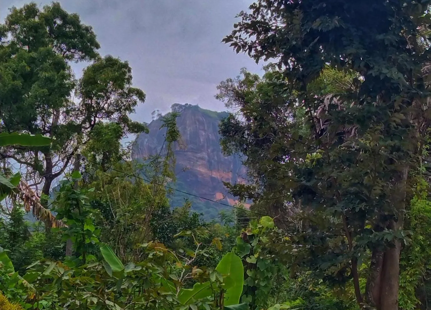 Kalum Home Sigiriya Homestay