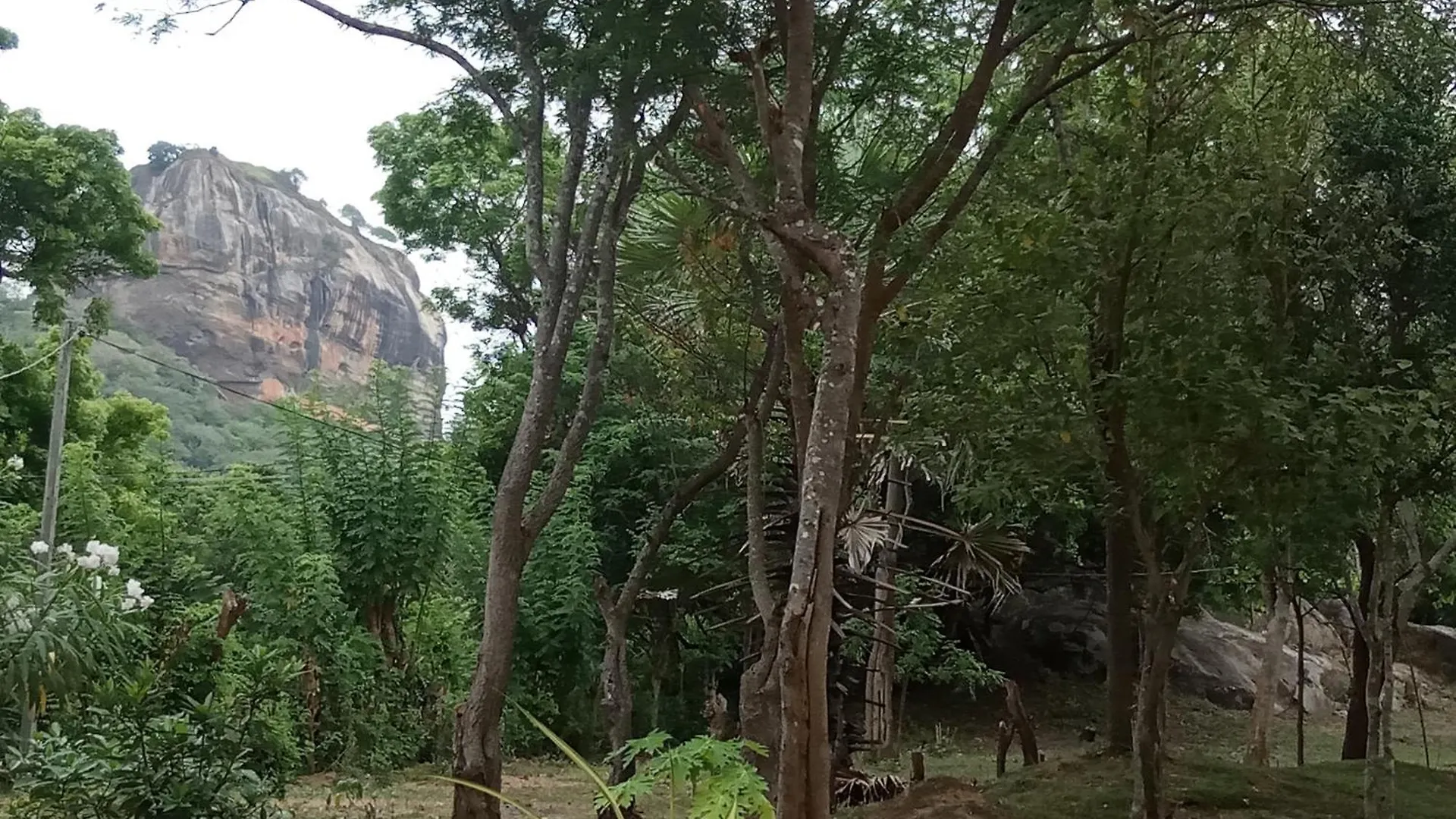 Kalum Home Sigiriya Sri Lanka
